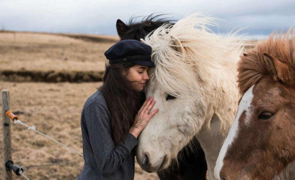 Woman calmly standing with three horses in a field, showing relaxed interaction.
