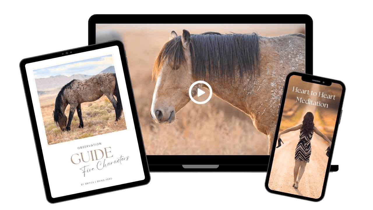 Single white wild mare standing calm.